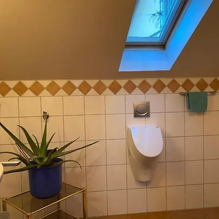 Apartment Gartner's Platzl