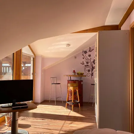 Apartment Gartner's Platzl